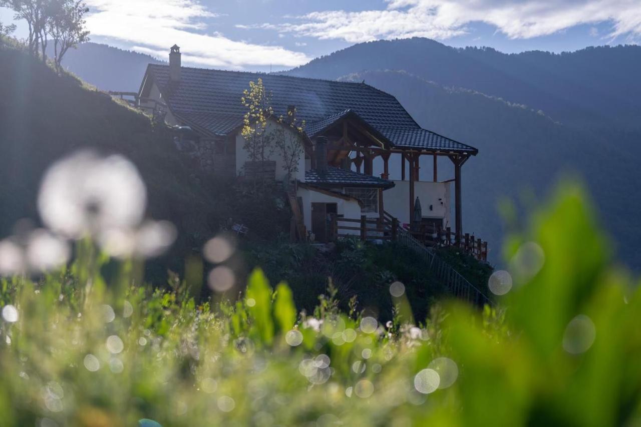 Zeneli Alpin Chalet Cerem Luaran gambar